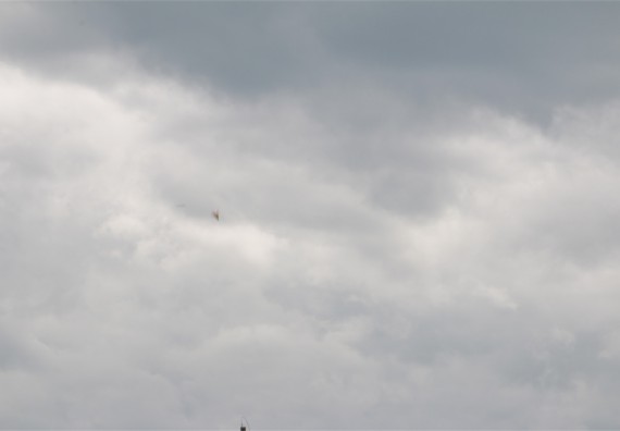 การแข่งขันจรวดขวดน้ำ ระดับมัธยมศึกษาปีที่ 4-6