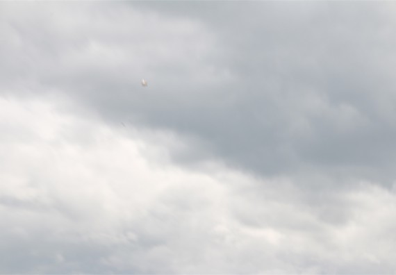 การแข่งขันจรวดขวดน้ำ ระดับมัธยมศึกษาปีที่ 4-6