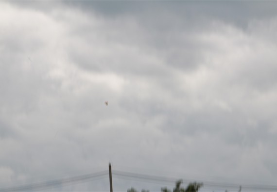 การแข่งขันจรวดขวดน้ำ ระดับมัธยมศึกษาปีที่ 4-6