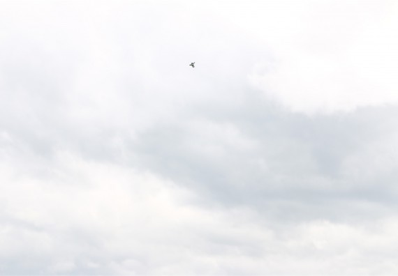 การแข่งขันจรวดขวดน้ำ ระดับมัธยมศึกษาปีที่ 4-6