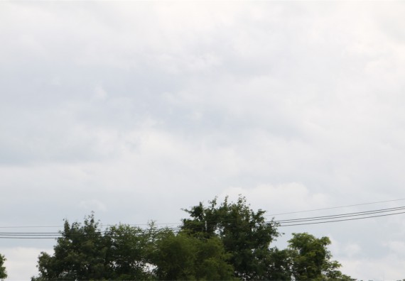 การแข่งขันจรวดขวดน้ำ ระดับมัธยมศึกษาปีที่ 4-6