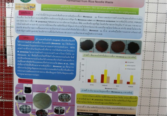 คณะวิทยาศาสตร์และเทคโนโลยี จัดการสัมมนาวิชาการ เรื่อง การนำผลงานวิจัยไปใช้ประโยชน์ต่อชุมชน