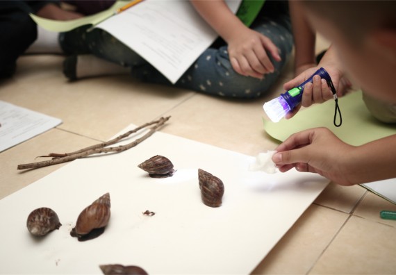 คณะวิทยาศาสตร์และเทคโนโลยี ได้จัดกิจกรรมค่ายวิทยาศาสตร์โรงเรียนสาธิตฯ ระดับชั้นประถมศึกษา ปีที่1-3