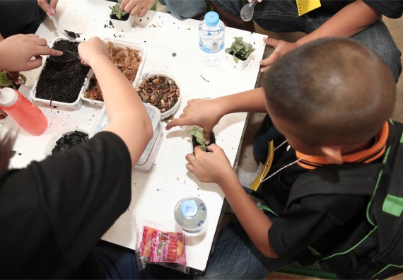 คณะวิทยาศาสตร์และเทคโนโลยี ได้จัดกิจกรรมค่ายวิทยาศาสตร์โรงเรียนสาธิตฯ ระดับชั้นประถมศึกษา ปีที่1-3