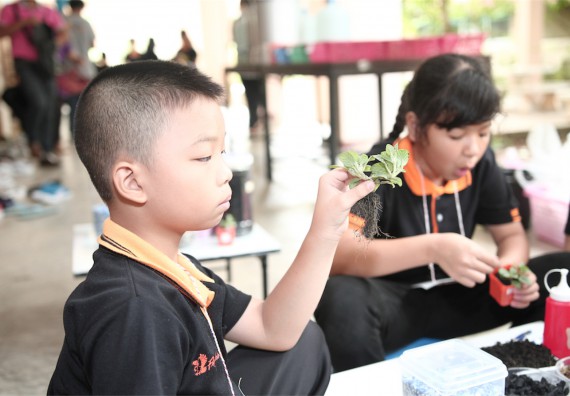 คณะวิทยาศาสตร์และเทคโนโลยี ได้จัดกิจกรรมค่ายวิทยาศาสตร์โรงเรียนสาธิตฯ ระดับชั้นประถมศึกษา ปีที่1-3