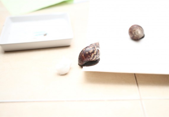 คณะวิทยาศาสตร์และเทคโนโลยี ได้จัดกิจกรรมค่ายวิทยาศาสตร์โรงเรียนสาธิตฯ ระดับชั้นประถมศึกษา ปีที่1-3