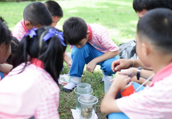 คณะวิทยาศาสตร์และเทคโนโลยี จัดกิจกรรม ค่าย MATH JUNIOR โรงเรียนอนุบาลกำแพงเพชร