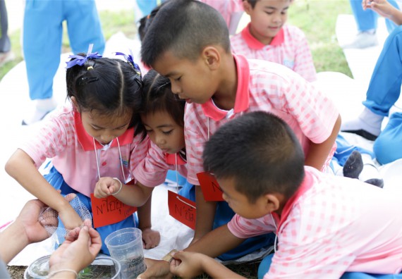 คณะวิทยาศาสตร์และเทคโนโลยี จัดกิจกรรม ค่าย MATH JUNIOR โรงเรียนอนุบาลกำแพงเพชร