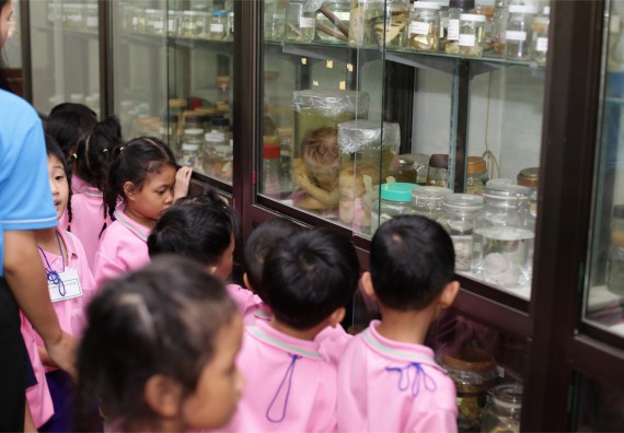 ค่ายวิทยาศาสตร์โรงเรียนสาธิตฯ ระดับชั้นอนุบาล 2559