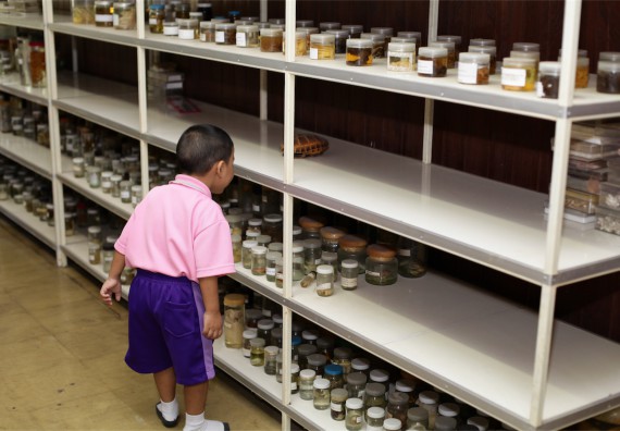 ค่ายวิทยาศาสตร์โรงเรียนสาธิตฯ ระดับชั้นอนุบาล 2559