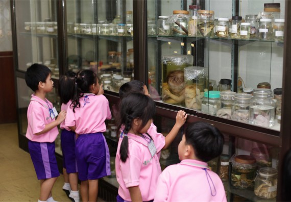 ค่ายวิทยาศาสตร์โรงเรียนสาธิตฯ ระดับชั้นอนุบาล 2559