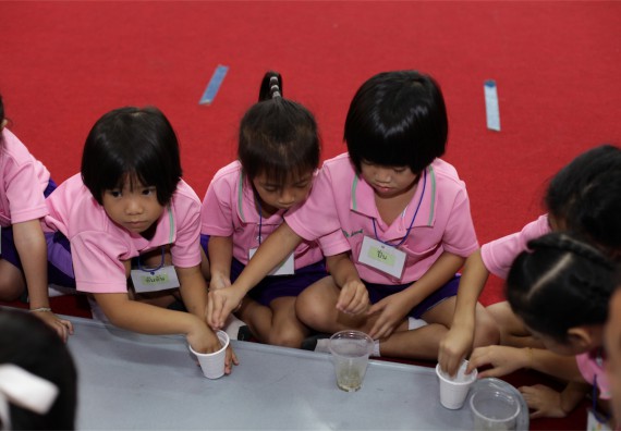 ค่ายวิทยาศาสตร์โรงเรียนสาธิตฯ ระดับชั้นอนุบาล 2559