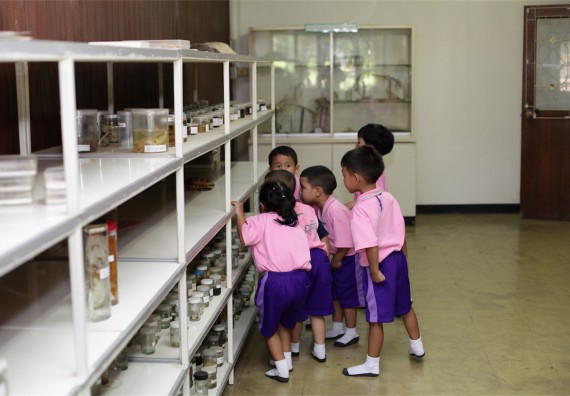 ค่ายวิทยาศาสตร์โรงเรียนสาธิตฯ ระดับชั้นอนุบาล 2559