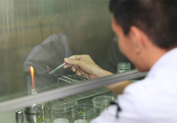 ภาพกิจกรรม ค่ายวิทยาศาสตร์โรงเรียนตากพิทยาคม จัดโดย คณะวิทยาศาสตร์และเทคโนโลยี