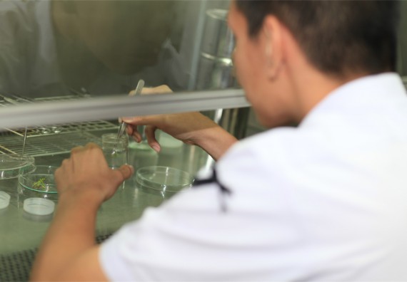 ภาพกิจกรรม ค่ายวิทยาศาสตร์โรงเรียนตากพิทยาคม จัดโดย คณะวิทยาศาสตร์และเทคโนโลยี