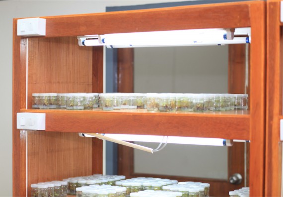 ภาพกิจกรรม ค่ายวิทยาศาสตร์โรงเรียนตากพิทยาคม จัดโดย คณะวิทยาศาสตร์และเทคโนโลยี