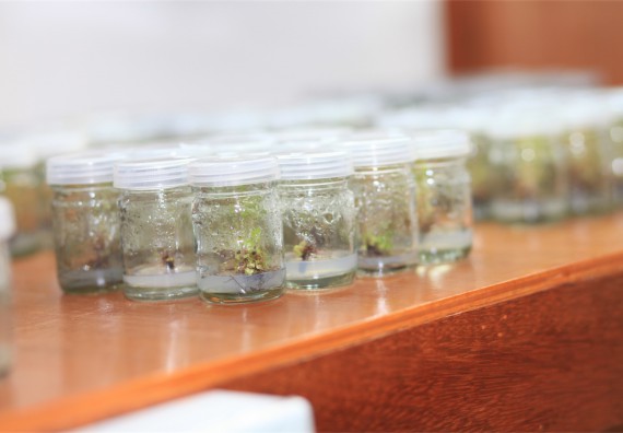 ภาพกิจกรรม ค่ายวิทยาศาสตร์โรงเรียนตากพิทยาคม จัดโดย คณะวิทยาศาสตร์และเทคโนโลยี