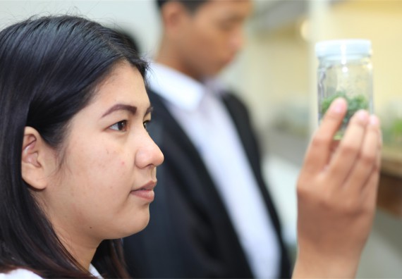 ภาพกิจกรรม ค่ายวิทยาศาสตร์โรงเรียนตากพิทยาคม จัดโดย คณะวิทยาศาสตร์และเทคโนโลยี