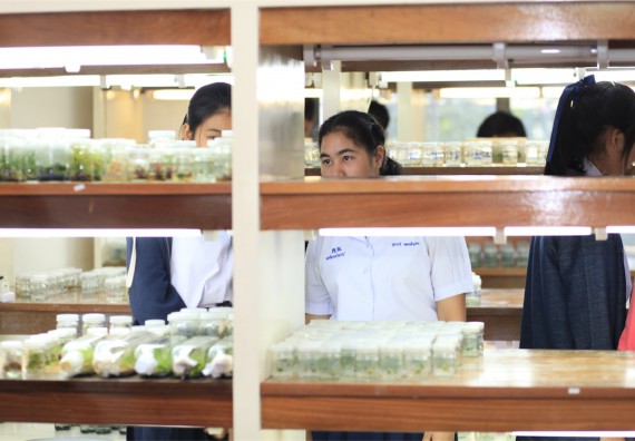 ภาพกิจกรรม ค่ายวิทยาศาสตร์โรงเรียนตากพิทยาคม จัดโดย คณะวิทยาศาสตร์และเทคโนโลยี