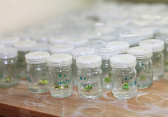 ภาพกิจกรรม ค่ายวิทยาศาสตร์โรงเรียนตากพิทยาคม จัดโดย คณะวิทยาศาสตร์และเทคโนโลยี