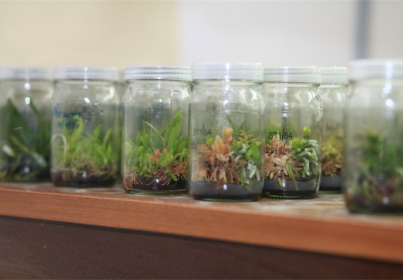 ภาพกิจกรรม ค่ายวิทยาศาสตร์โรงเรียนตากพิทยาคม จัดโดย คณะวิทยาศาสตร์และเทคโนโลยี