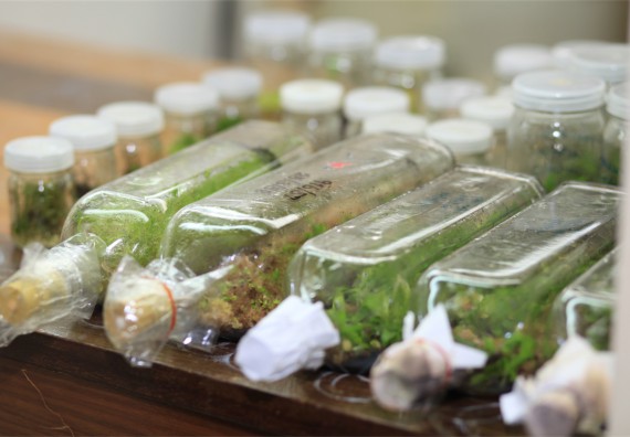 ภาพกิจกรรม ค่ายวิทยาศาสตร์โรงเรียนตากพิทยาคม จัดโดย คณะวิทยาศาสตร์และเทคโนโลยี