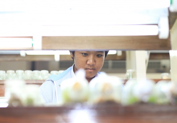 ภาพกิจกรรม ค่ายวิทยาศาสตร์โรงเรียนตากพิทยาคม จัดโดย คณะวิทยาศาสตร์และเทคโนโลยี