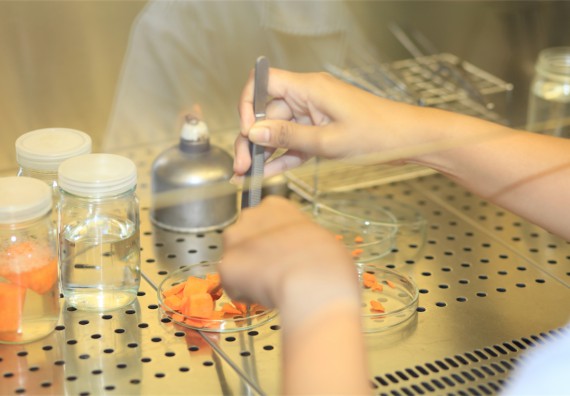 ภาพกิจกรรม ค่ายวิทยาศาสตร์โรงเรียนตากพิทยาคม จัดโดย คณะวิทยาศาสตร์และเทคโนโลยี