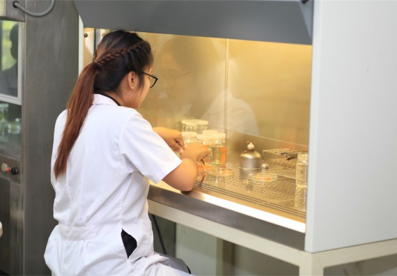 ภาพกิจกรรม ค่ายวิทยาศาสตร์โรงเรียนตากพิทยาคม จัดโดย คณะวิทยาศาสตร์และเทคโนโลยี