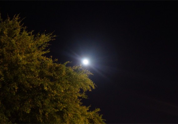 ภาพกิจกรรม ศูนย์วิทยาศาสตร์และวิทยาศาสตร์ประยุกต์ จัดกิจกรรมบริการวิชาการชมปรากฏการณ์ Super full moon ขึ้น