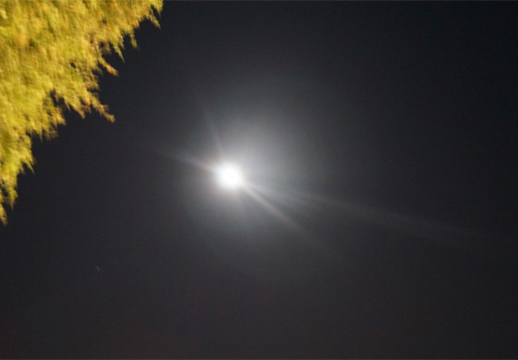 ภาพกิจกรรม ศูนย์วิทยาศาสตร์และวิทยาศาสตร์ประยุกต์ จัดกิจกรรมบริการวิชาการชมปรากฏการณ์ Super full moon ขึ้น