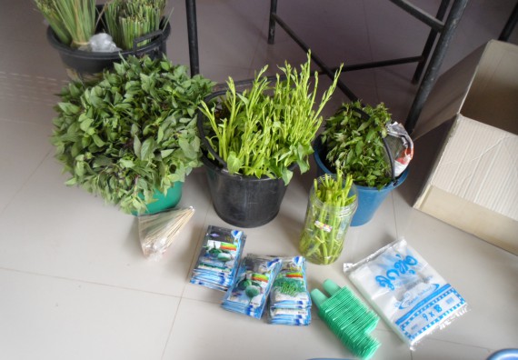 ภาพกิจกรรม โปรแกรมวิชาเกษตรศาสตร์ จัดการอบรม การขยายพันธุ์พืชผักสวนครัว