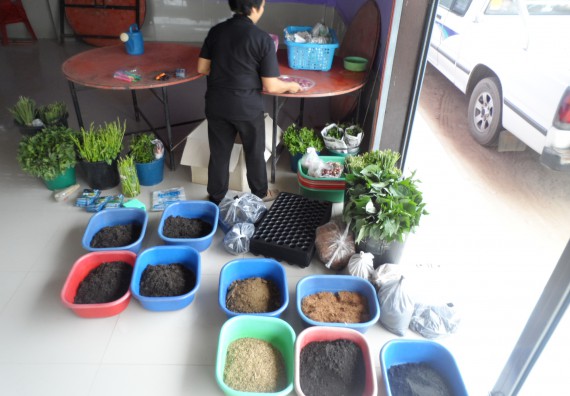 ภาพกิจกรรม โปรแกรมวิชาเกษตรศาสตร์ จัดการอบรม การขยายพันธุ์พืชผักสวนครัว