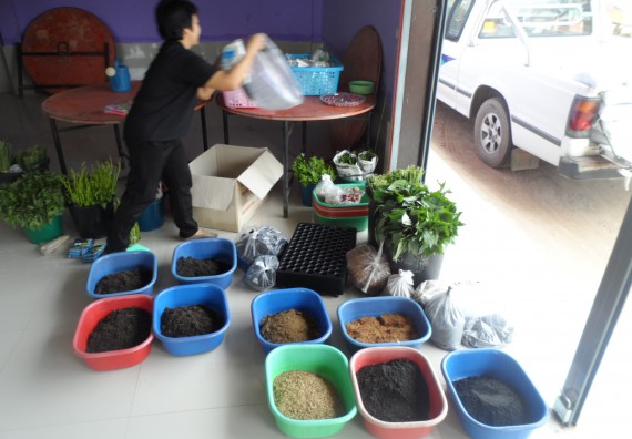 ภาพกิจกรรม โปรแกรมวิชาเกษตรศาสตร์ จัดการอบรม การขยายพันธุ์พืชผักสวนครัว