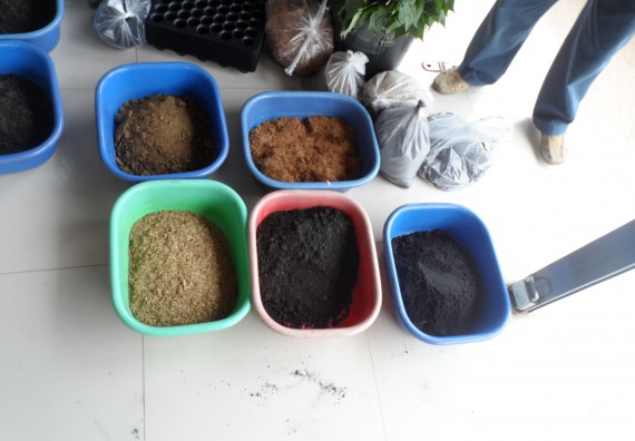 ภาพกิจกรรม โปรแกรมวิชาเกษตรศาสตร์ จัดการอบรม การขยายพันธุ์พืชผักสวนครัว