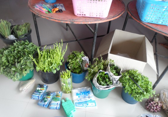 ภาพกิจกรรม โปรแกรมวิชาเกษตรศาสตร์ จัดการอบรม การขยายพันธุ์พืชผักสวนครัว