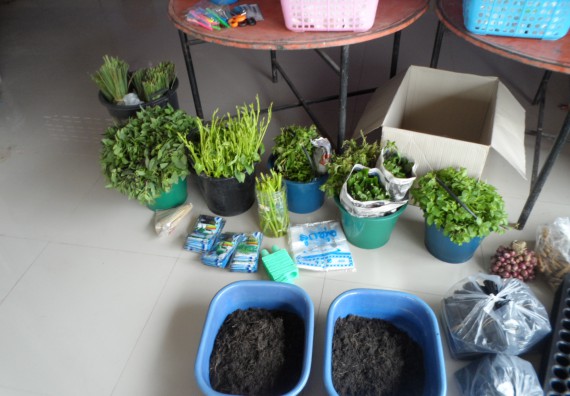 ภาพกิจกรรม โปรแกรมวิชาเกษตรศาสตร์ จัดการอบรม การขยายพันธุ์พืชผักสวนครัว