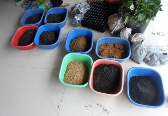 ภาพกิจกรรม โปรแกรมวิชาเกษตรศาสตร์ จัดการอบรม การขยายพันธุ์พืชผักสวนครัว