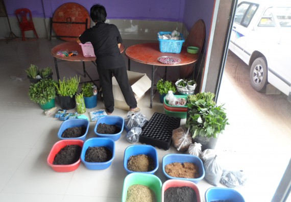 ภาพกิจกรรม โปรแกรมวิชาเกษตรศาสตร์ จัดการอบรม การขยายพันธุ์พืชผักสวนครัว