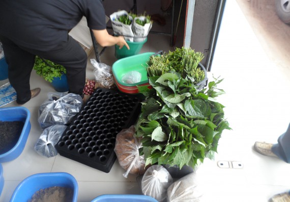 ภาพกิจกรรม โปรแกรมวิชาเกษตรศาสตร์ จัดการอบรม การขยายพันธุ์พืชผักสวนครัว