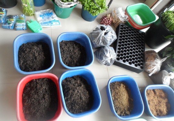 ภาพกิจกรรม โปรแกรมวิชาเกษตรศาสตร์ จัดการอบรม การขยายพันธุ์พืชผักสวนครัว