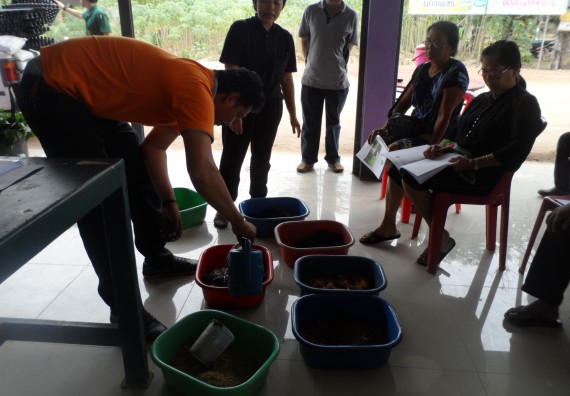 ภาพกิจกรรม โปรแกรมวิชาเกษตรศาสตร์ จัดการอบรม การขยายพันธุ์พืชผักสวนครัว