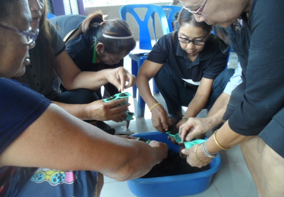 ภาพกิจกรรม โปรแกรมวิชาเกษตรศาสตร์ จัดการอบรม การขยายพันธุ์พืชผักสวนครัว