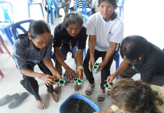 ภาพกิจกรรม โปรแกรมวิชาเกษตรศาสตร์ จัดการอบรม การขยายพันธุ์พืชผักสวนครัว
