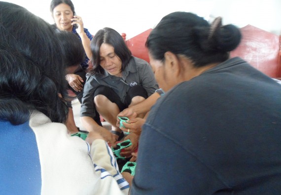 ภาพกิจกรรม โปรแกรมวิชาเกษตรศาสตร์ จัดการอบรม การขยายพันธุ์พืชผักสวนครัว