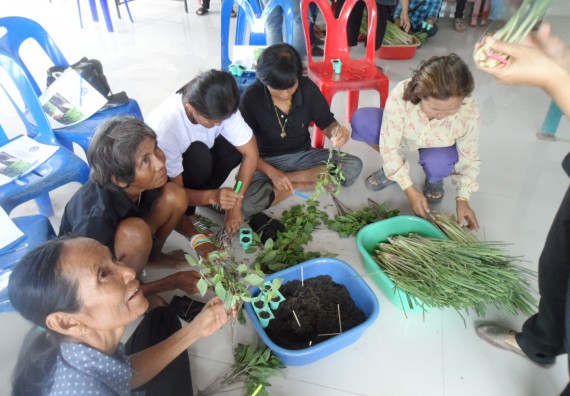 ภาพกิจกรรม โปรแกรมวิชาเกษตรศาสตร์ จัดการอบรม การขยายพันธุ์พืชผักสวนครัว