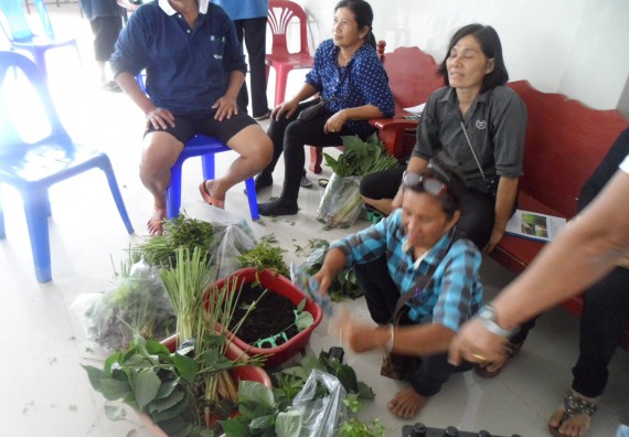 ภาพกิจกรรม โปรแกรมวิชาเกษตรศาสตร์ จัดการอบรม การขยายพันธุ์พืชผักสวนครัว