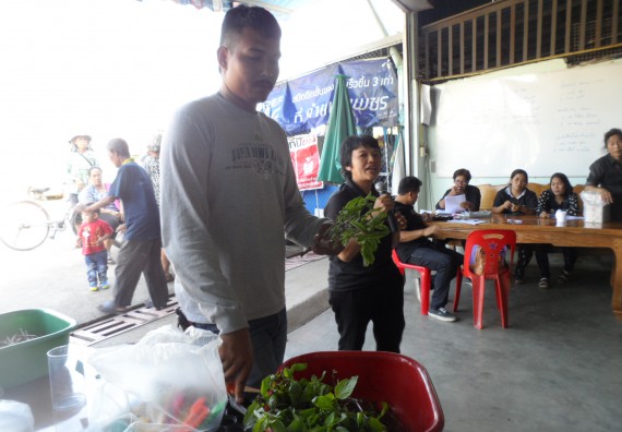 ภาพกิจกรรม โปรแกรมวิชาเกษตรศาสตร์ จัดการอบรม เรื่อง การขยายพันธุ์พืชผักสวนครัว