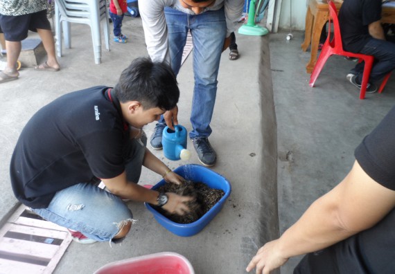 ภาพกิจกรรม โปรแกรมวิชาเกษตรศาสตร์ จัดการอบรม เรื่อง การขยายพันธุ์พืชผักสวนครัว