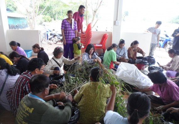 ภาพกิจกรรม โปรแกรมวิชาเกษตรศาสตร์ จัดการอบรม ในเรื่อง การทำน้ำยาไล่แมลง